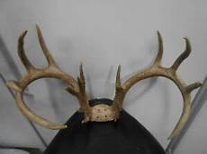 Carpet Tightening Machine