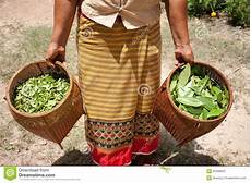 Carpet Weaving Machine