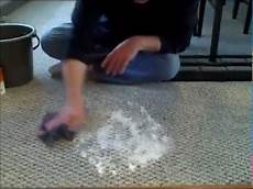 Cleaning Carpet