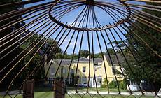 Medium Range Carpets